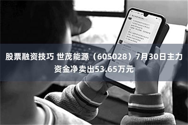 股票融资技巧 世茂能源（605028）7月30日主力资金净卖出53.65万元